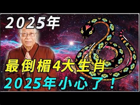 2025年屬什麼